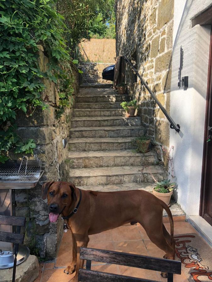 Casa Leonarda, Rustic Istrian Stone House, Nature, Peace And Hilltop Views, Near Motovun * Zamask