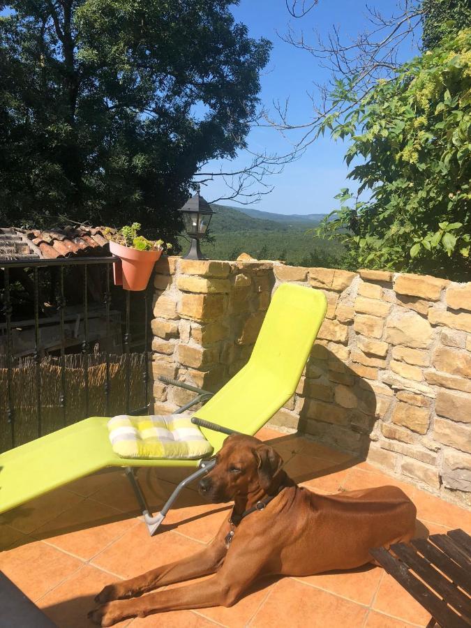 Casa Leonarda, Rustic Istrian Stone House, Nature, Peace And Hilltop Views, Near Motovun *
