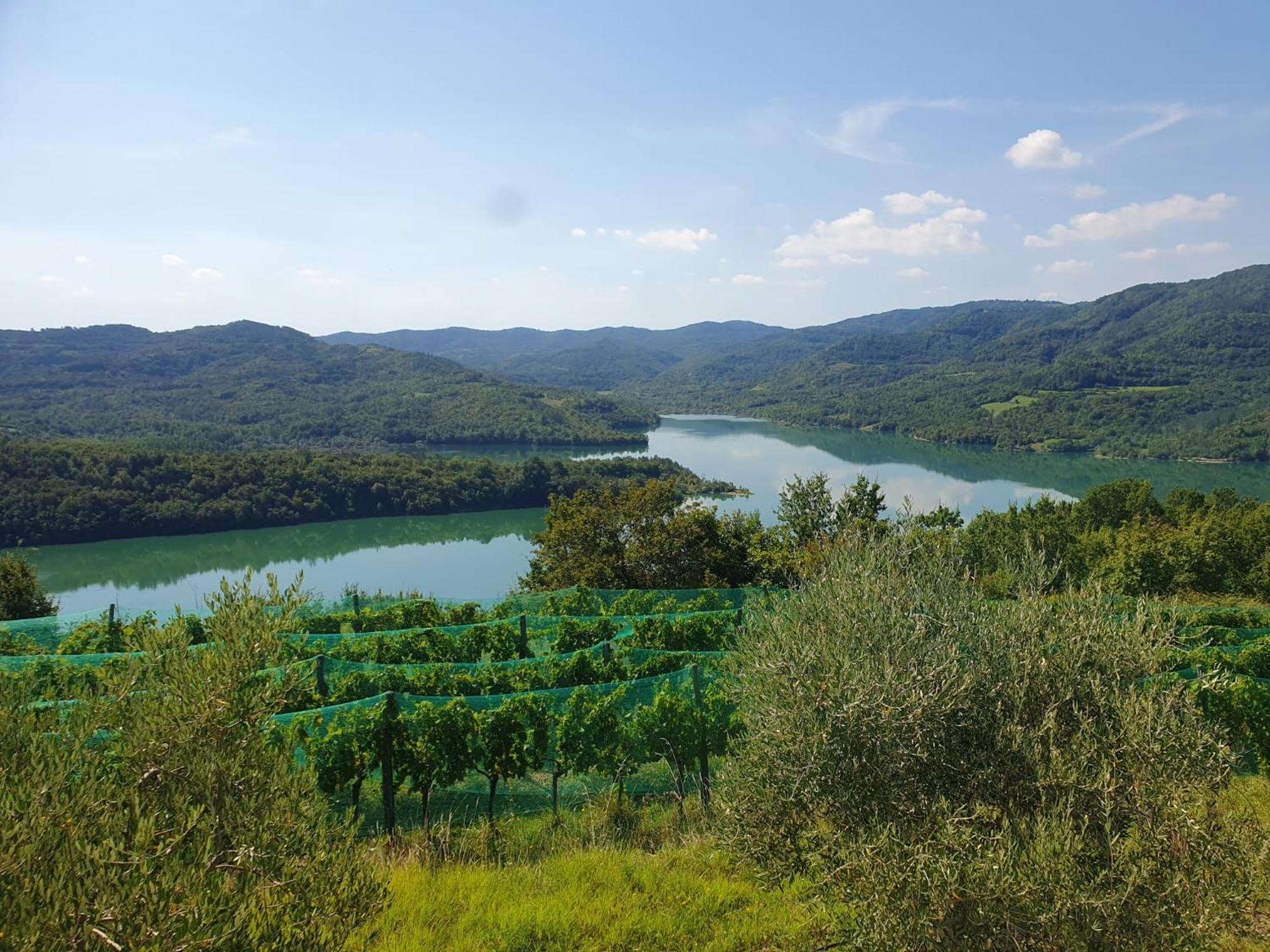Casa Leonarda, Old Authentic Istrian Stone House Near Motovun, Istria Holiday home *
